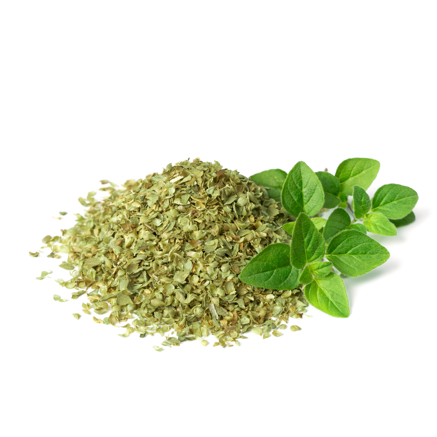 Oregano