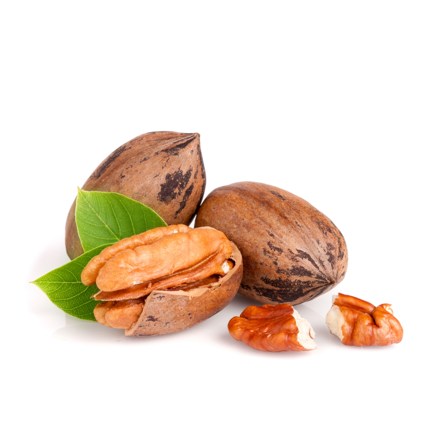 Pecan Nuts in Shell