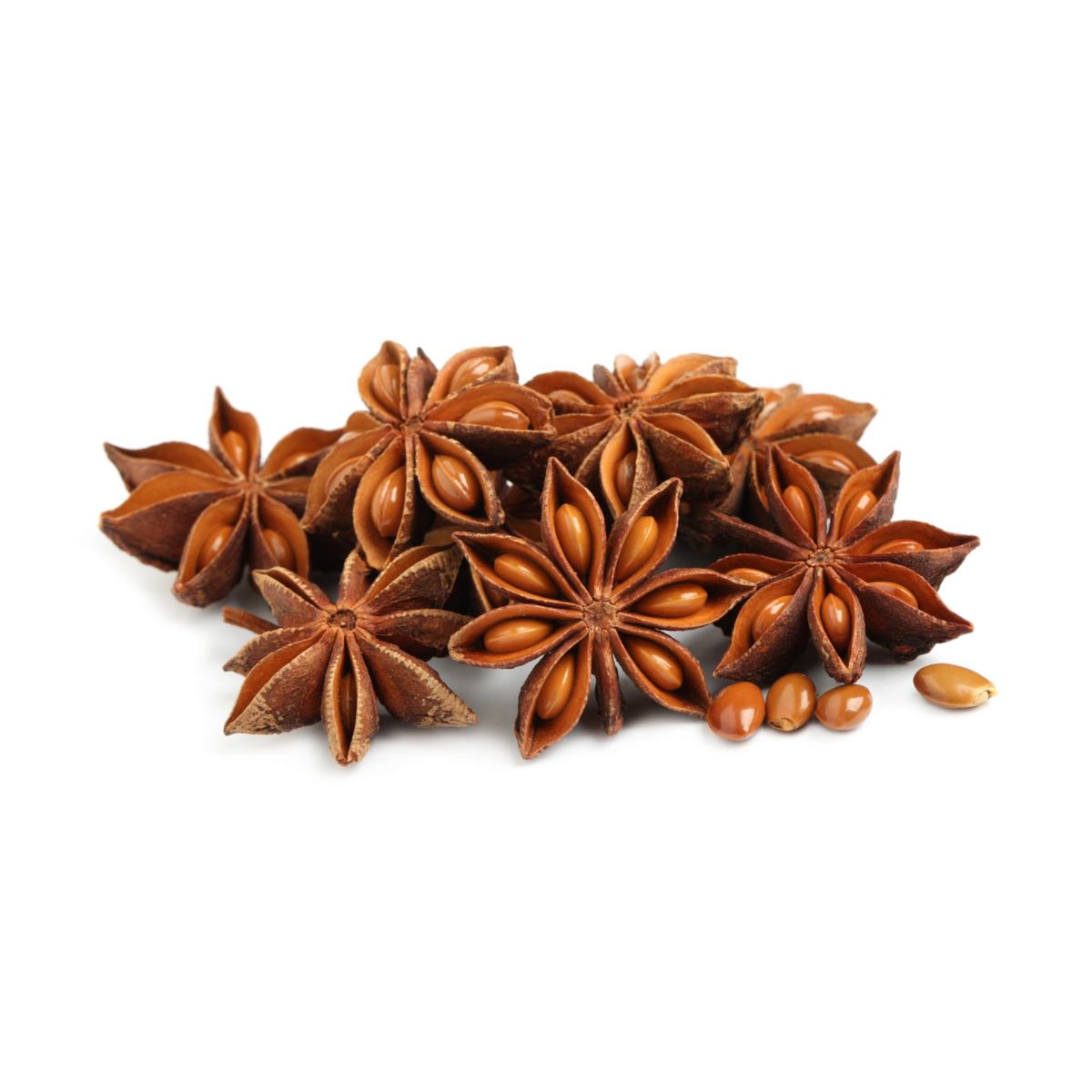Star Aniseed