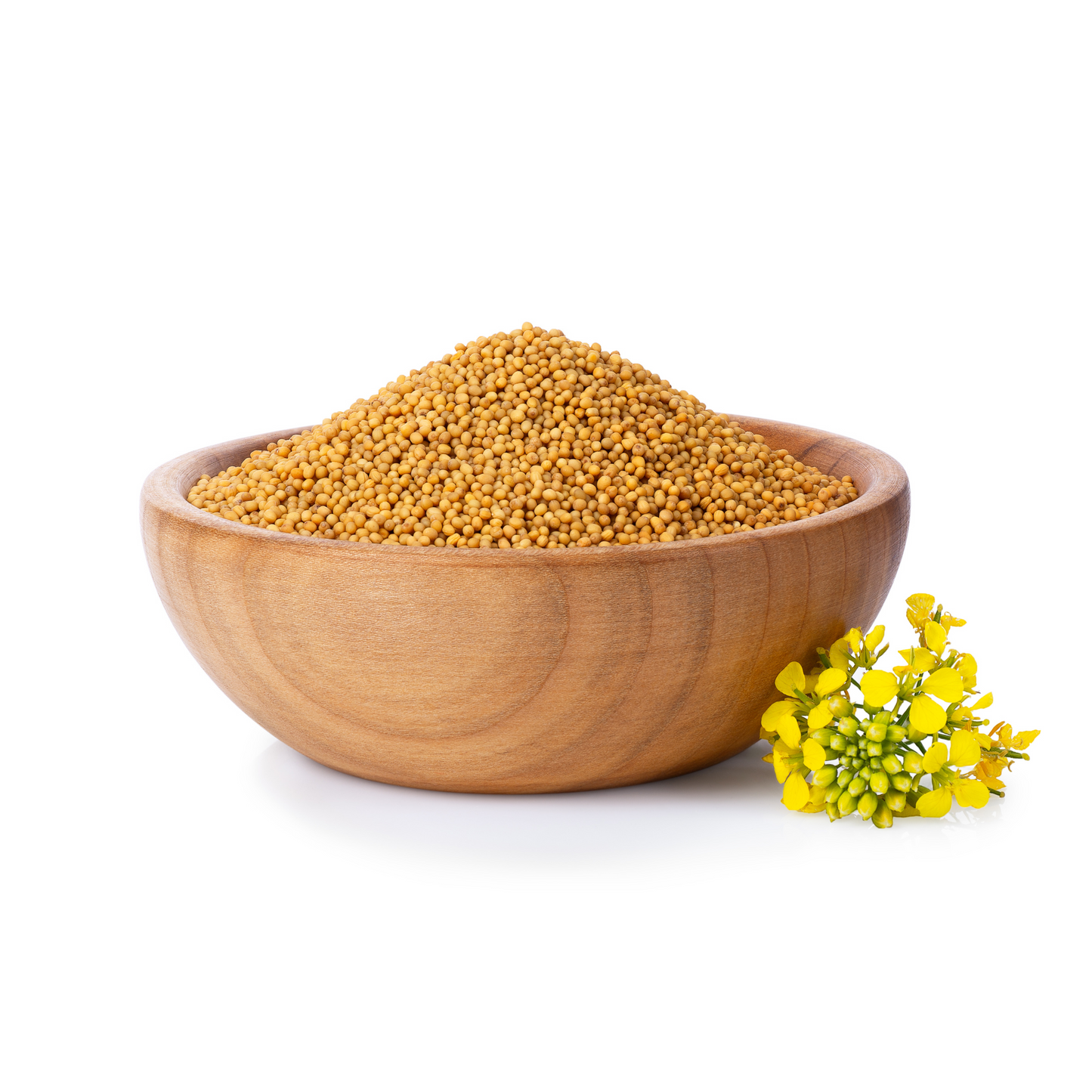Mustard Seeds Yellow