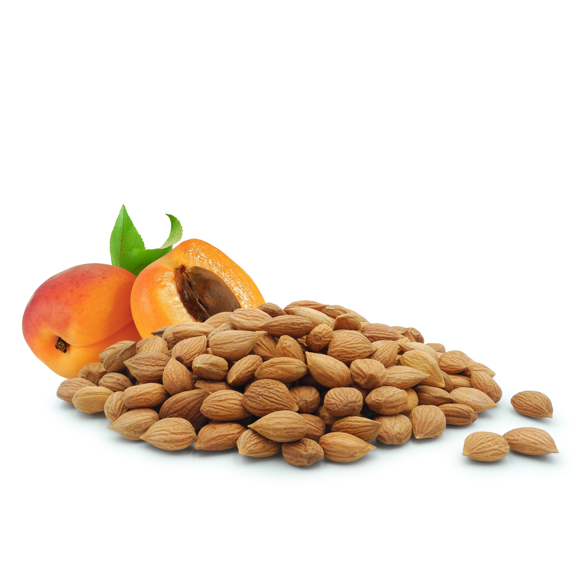 Apricot Kernels