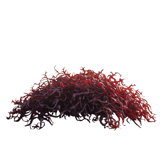 Sea Moss