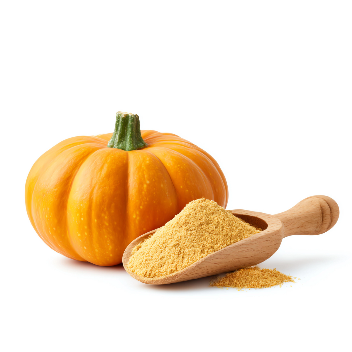 Pumpkin Powder