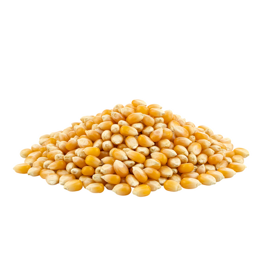 Popcorn
